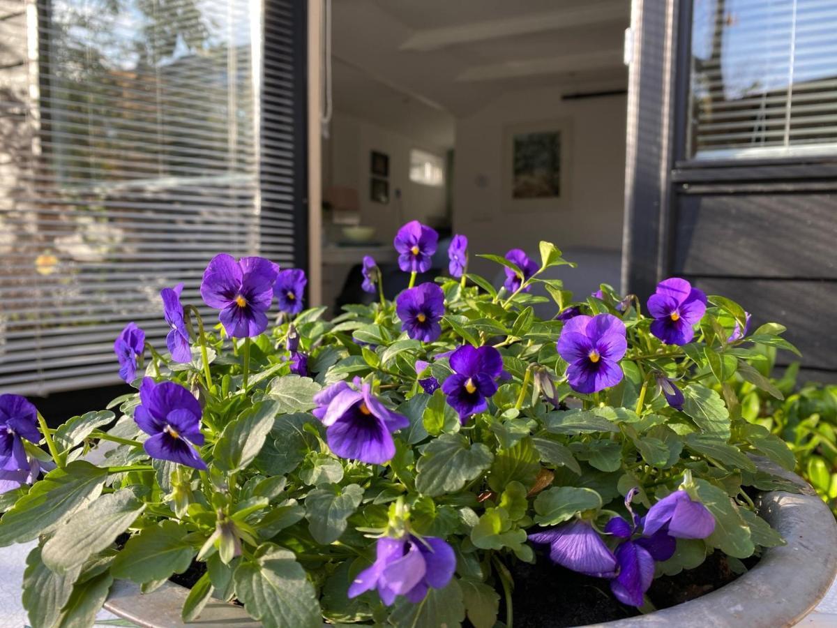 Studio Clematis Bergen Exterior foto